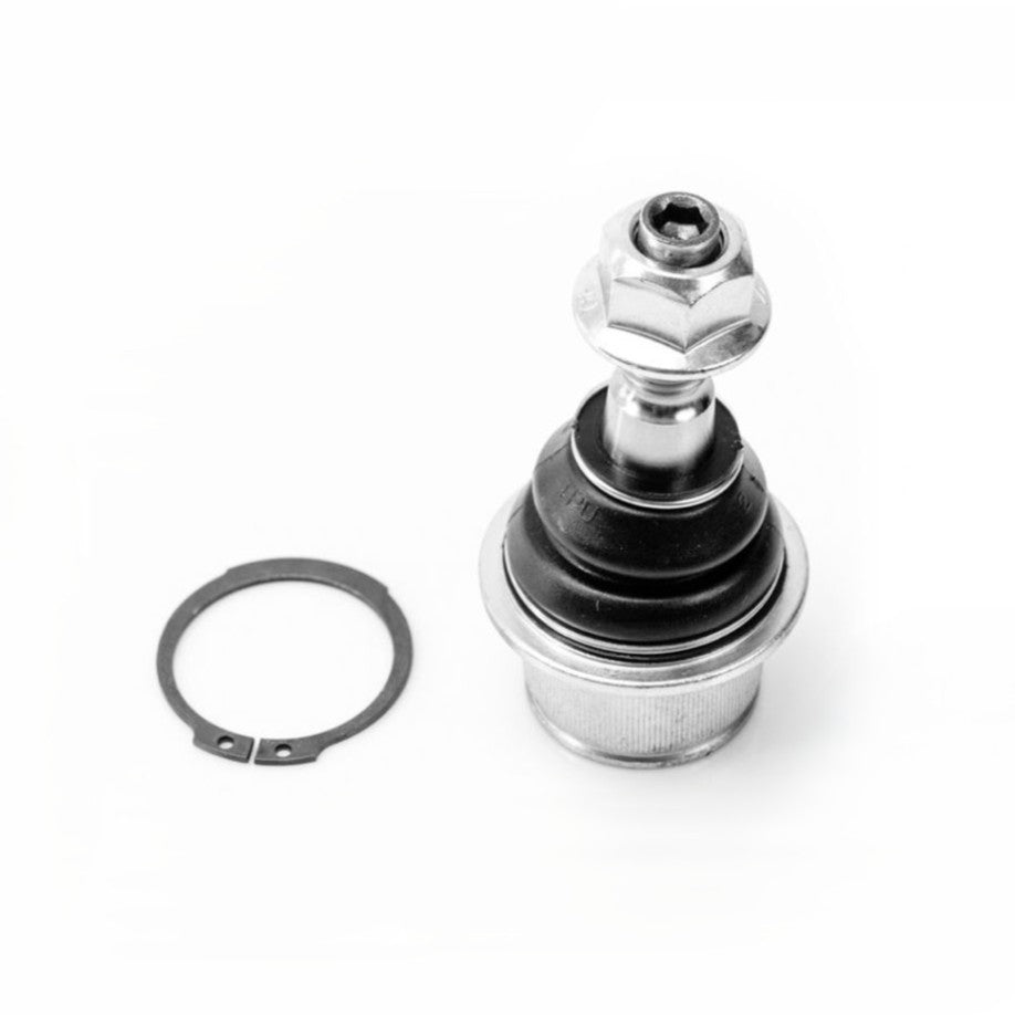 Rotula Inf Ford Lobo Exped 03-08