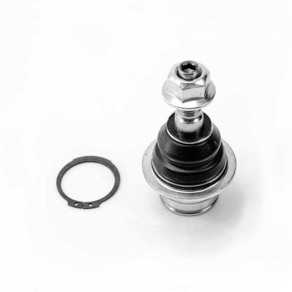 Rotula Inf Ford Expedition Navigator 4X2 4X4 07-19