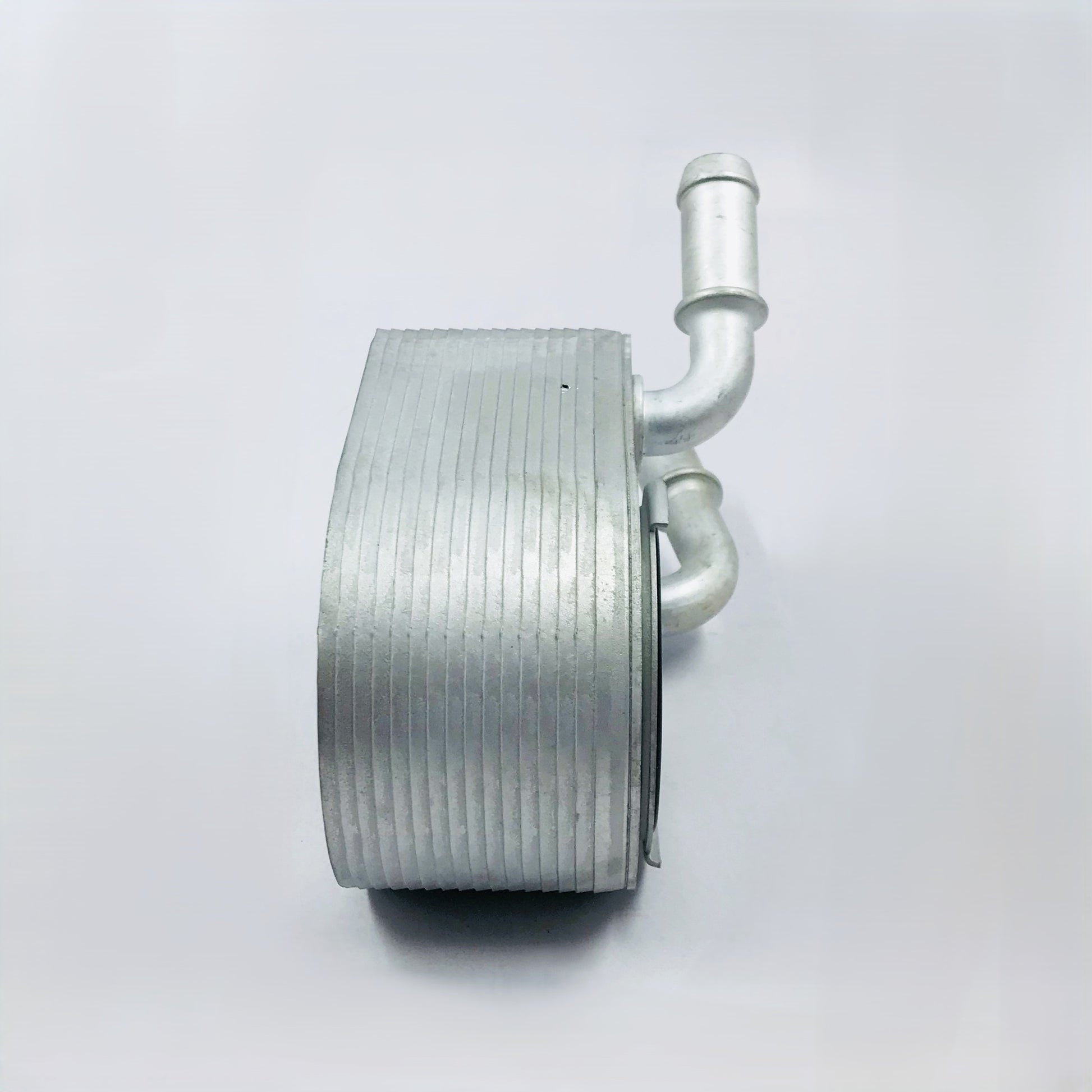 Radiador Aceite Ford 3.5 Transit 15-24