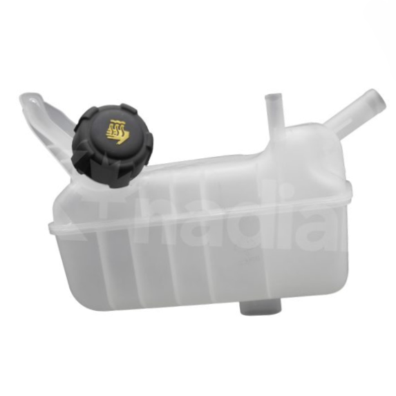 Deposito Anticongelante Renault 1.6 2.0 Megane 04-10  Knadian