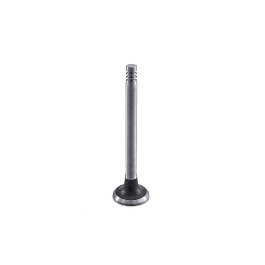 Valvula Esc Vw 1.6 Beetle Sedan 1600 Base 30 71-03 STD