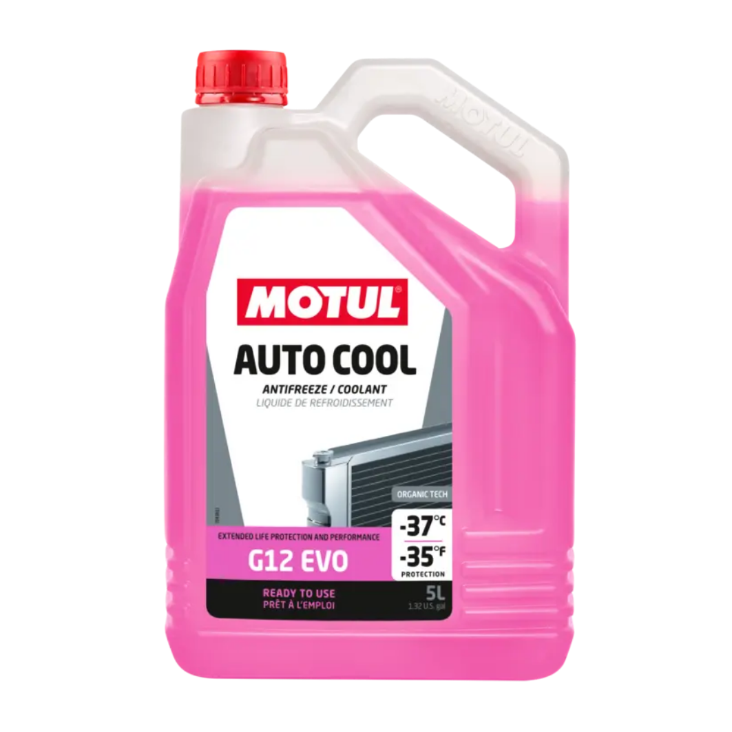 Anticongelante Motul Eve Rosa 5Lt